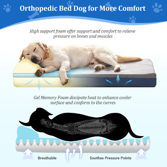 Orthopedic Dog Bed with Pillow